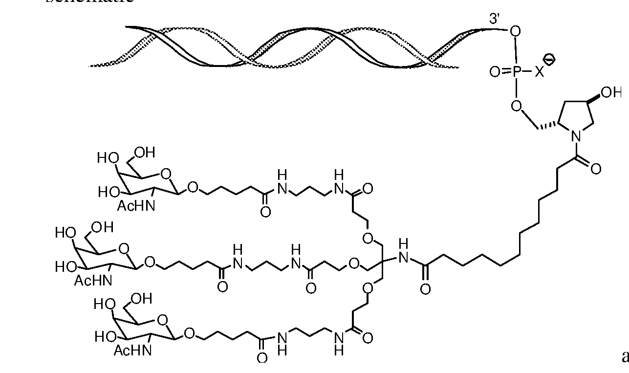 Figure imgf000007_0002