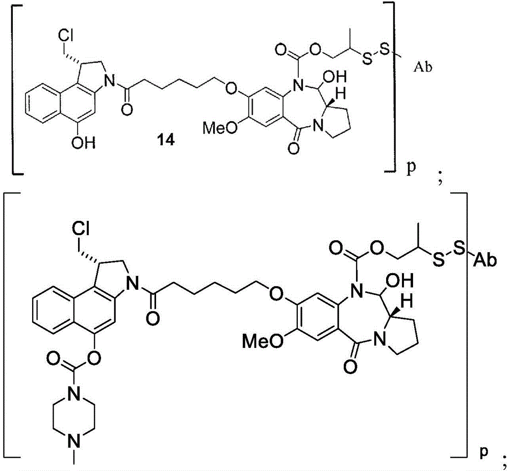 Figure BDA0003169464670000342