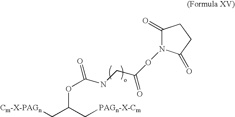 Figure US20080207505A1-20080828-C00033