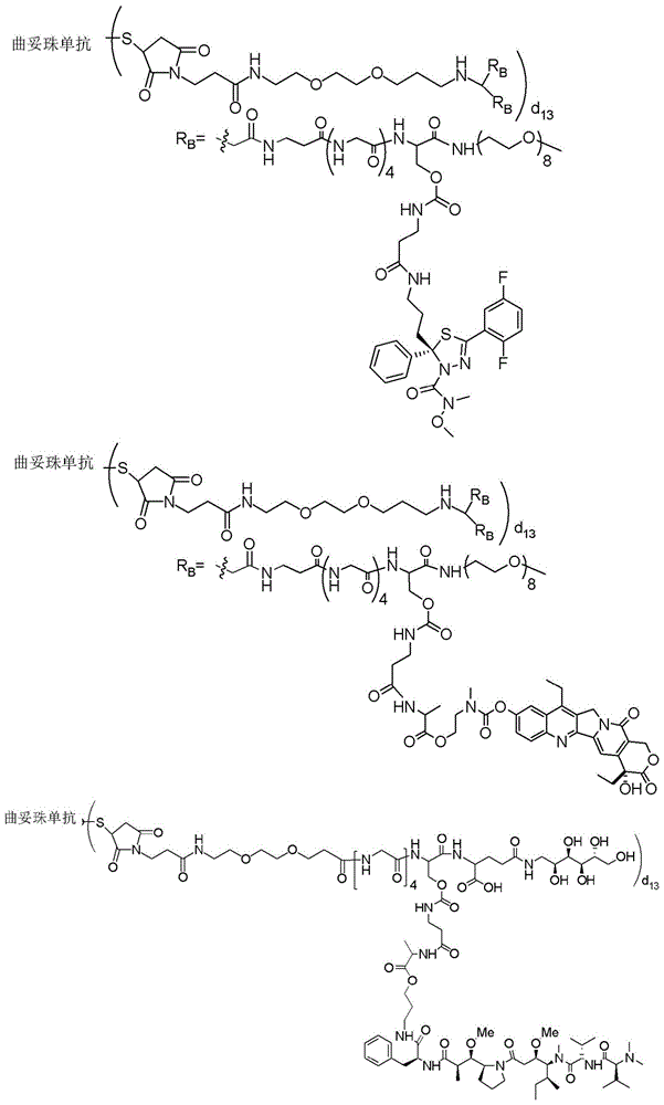 Figure BDA0003135424430001821