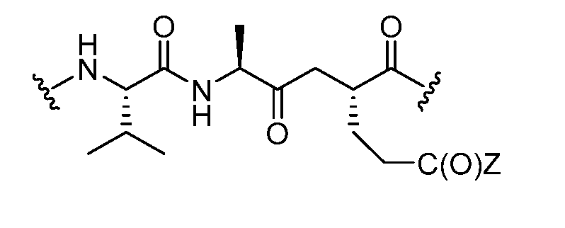 Figure imgf000045_0006