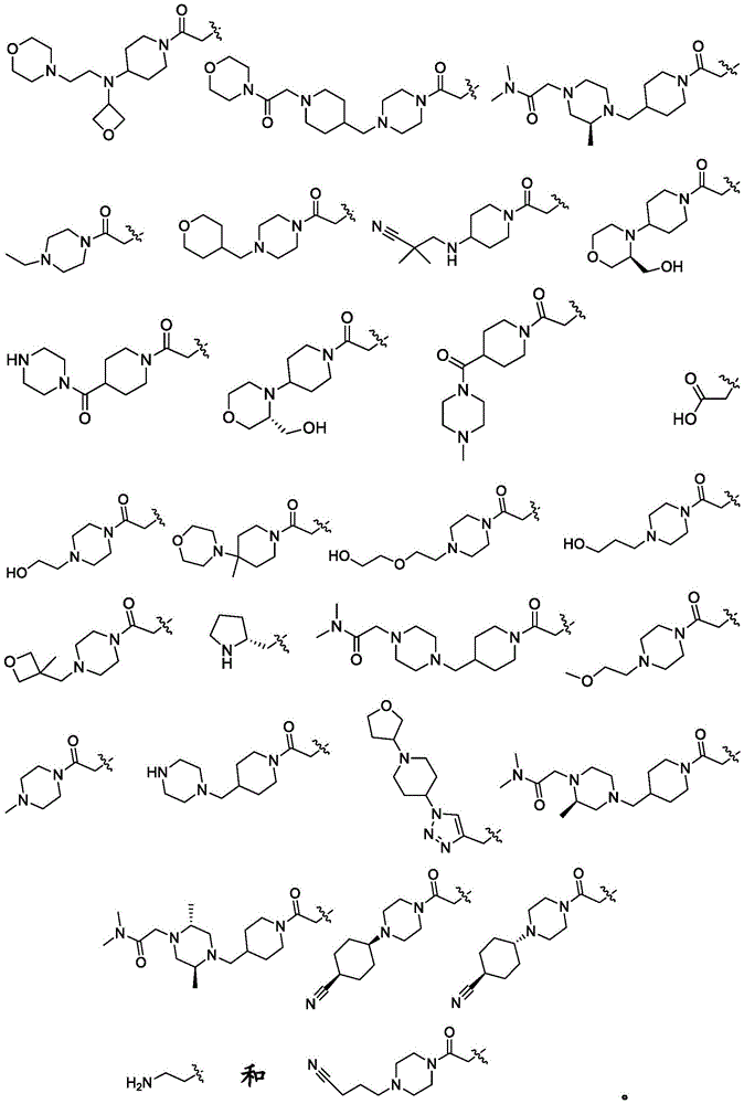 Figure BDA0002198914050000391