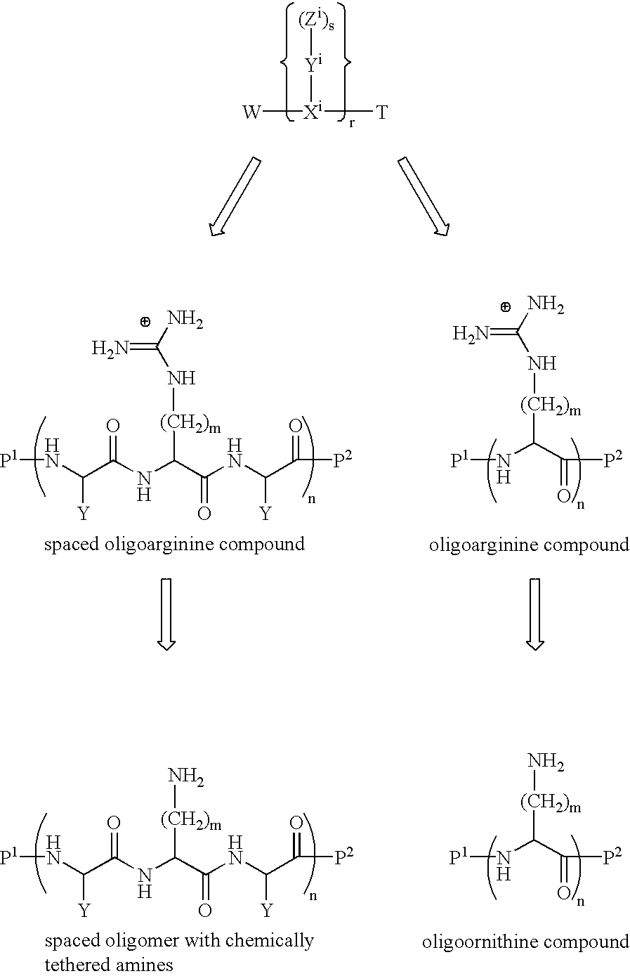 Figure US20030073807A1-20030417-C00009