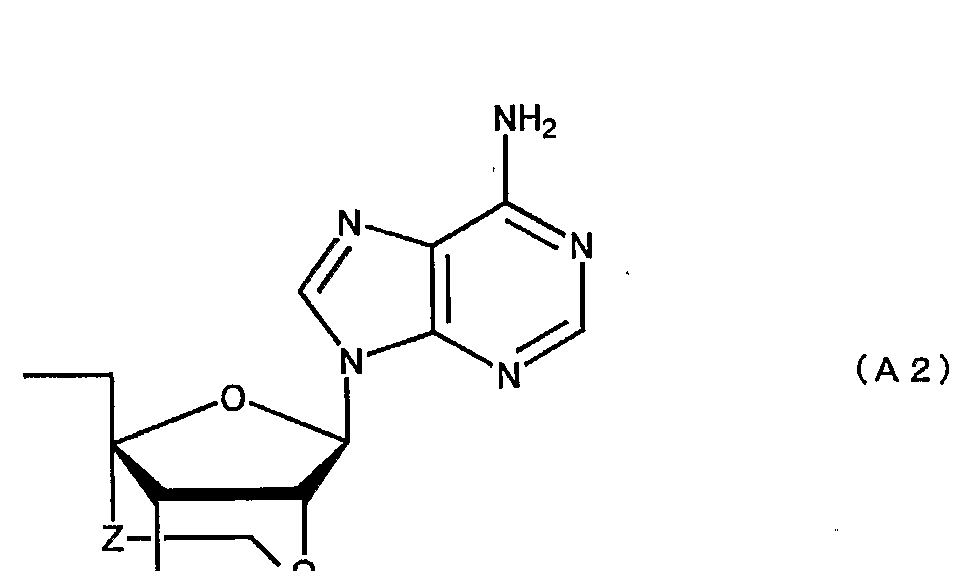 Figure imgf000007_0002