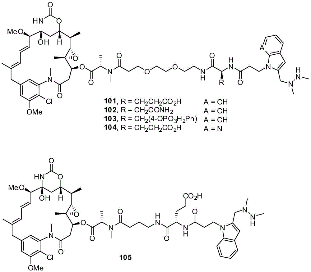 Figure BDA0001158533560001011