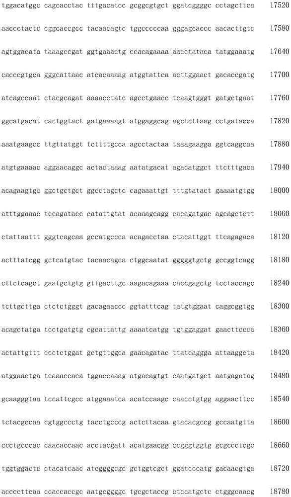 Figure IDA0002872168960001451