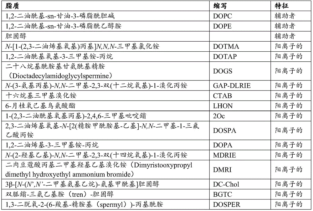 Figure BDA0003436311440000741