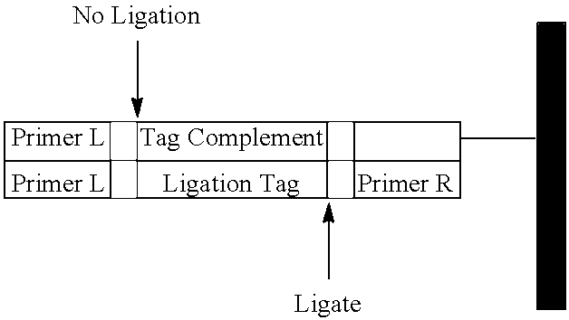 Figure US08318433-20121127-C00003