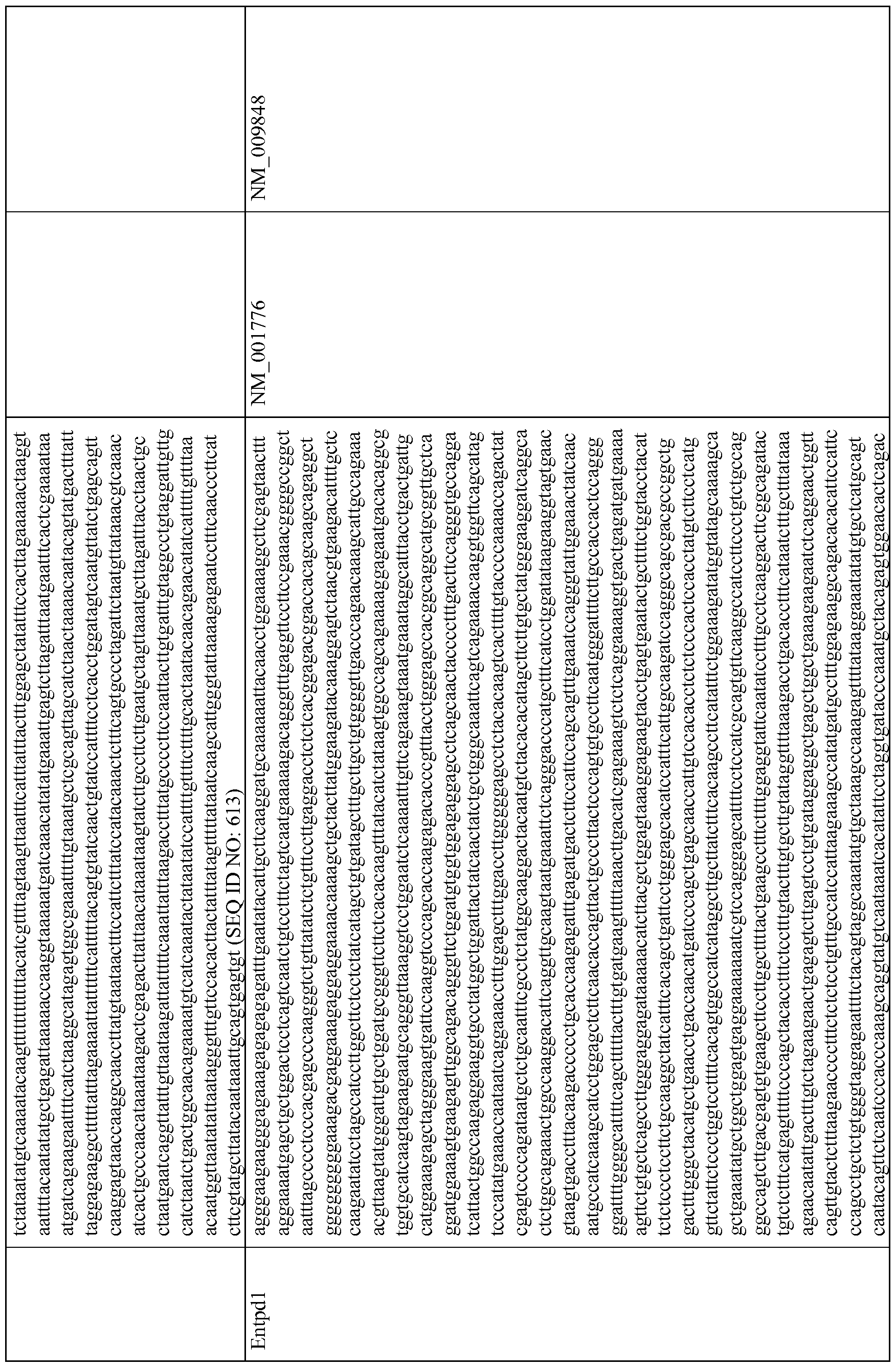 Figure imgf000033_0001