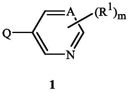 Figure FDA0002625136710000011