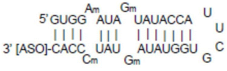 Figure BDA0003264319780000243