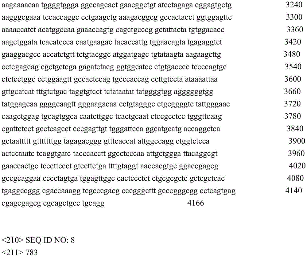 Figure GDA0004072109420000381