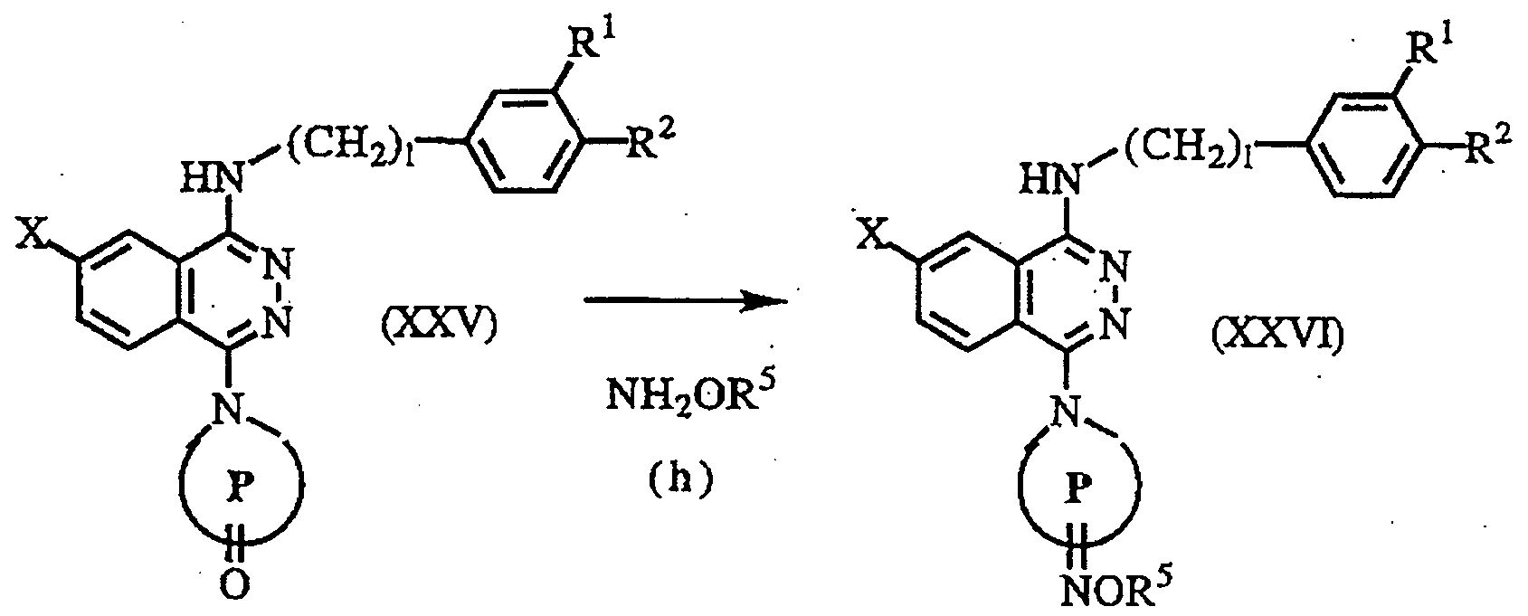 Figure imgf000023_0001