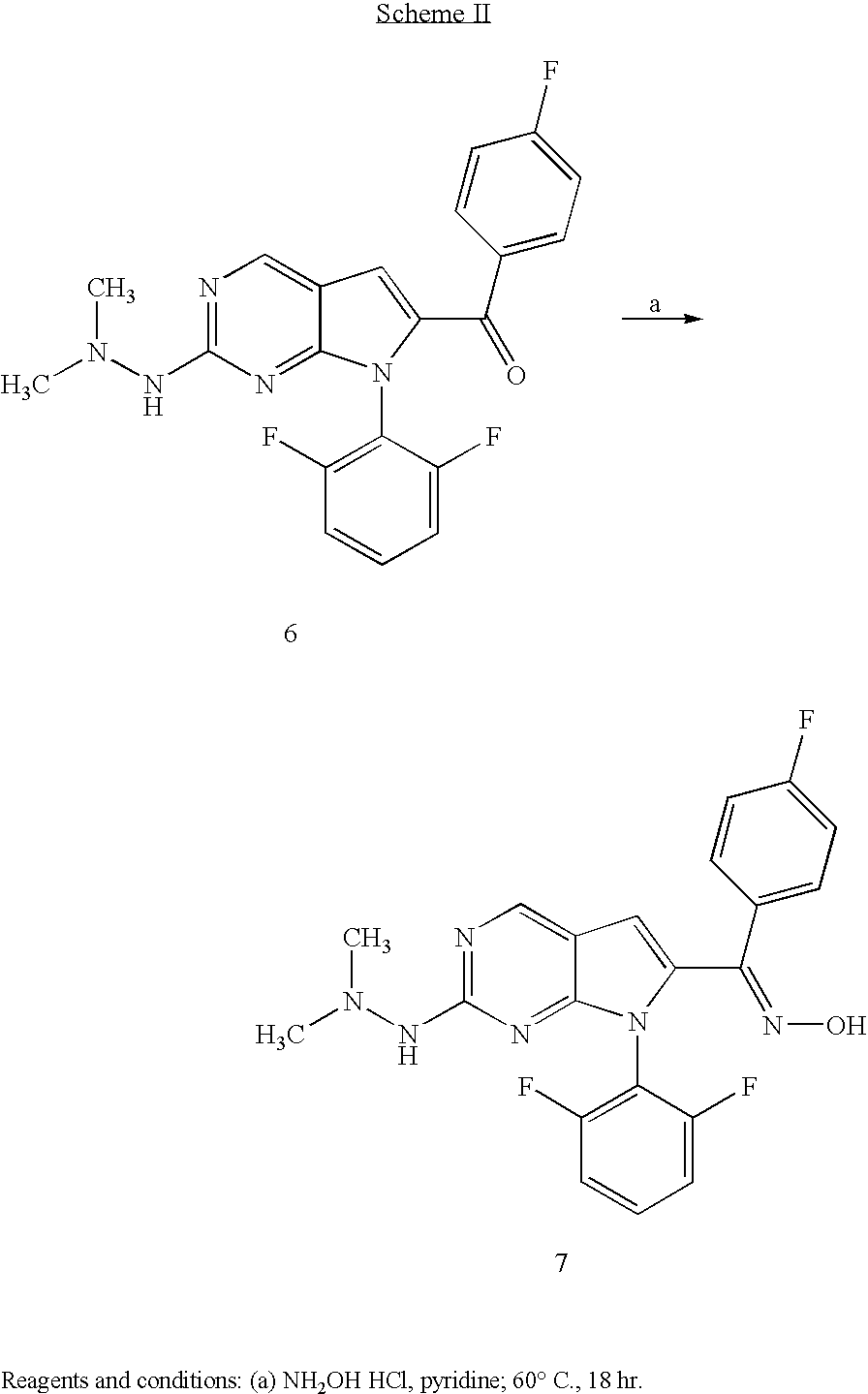 Figure US07319102-20080115-C00024