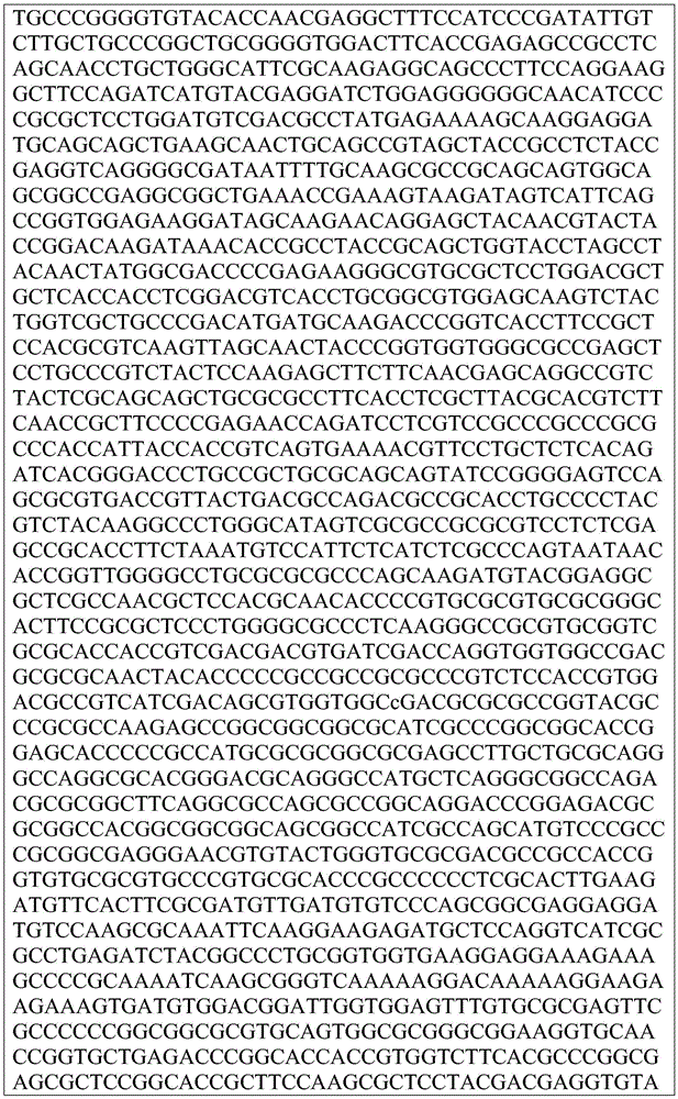 Figure BDA0002872168850001701