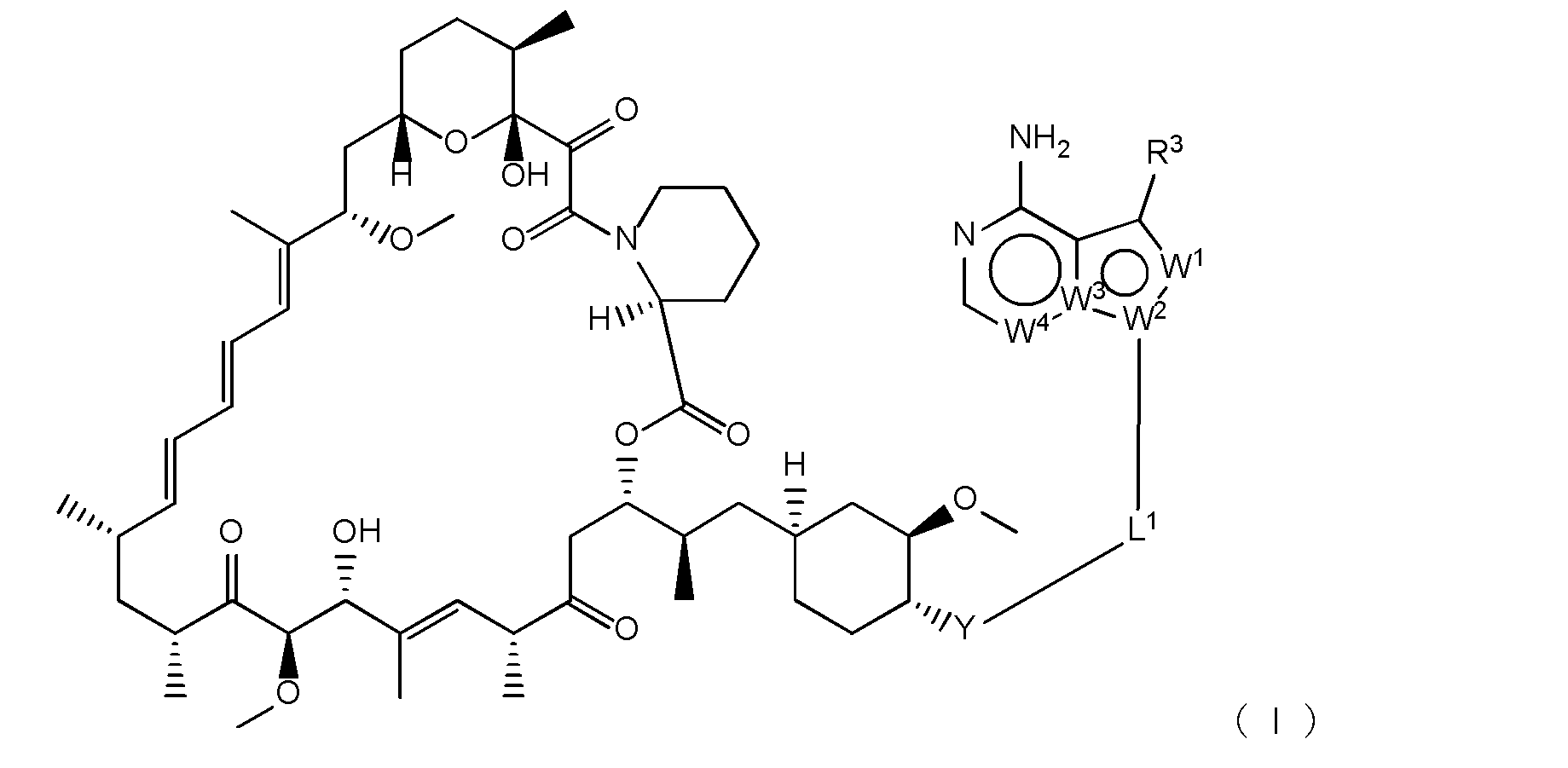Figure 0007057798000017