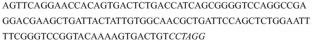 Figure GDA0003152722340000931