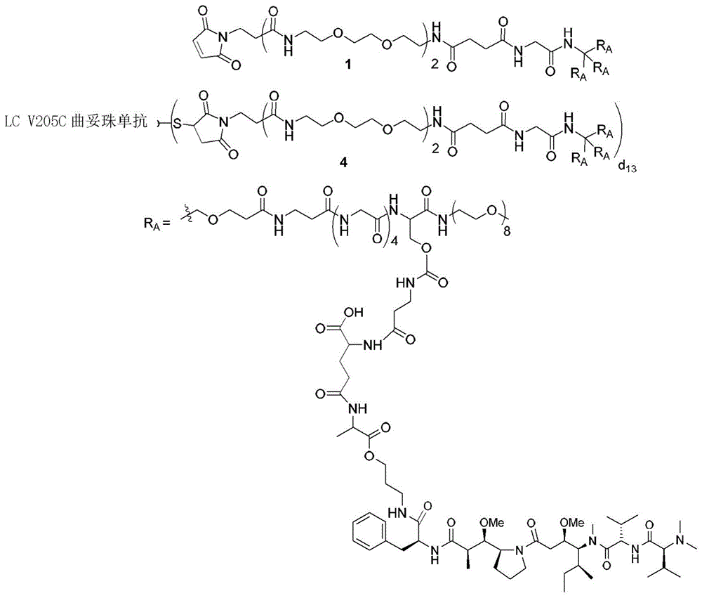 Figure BDA0003135424430002411
