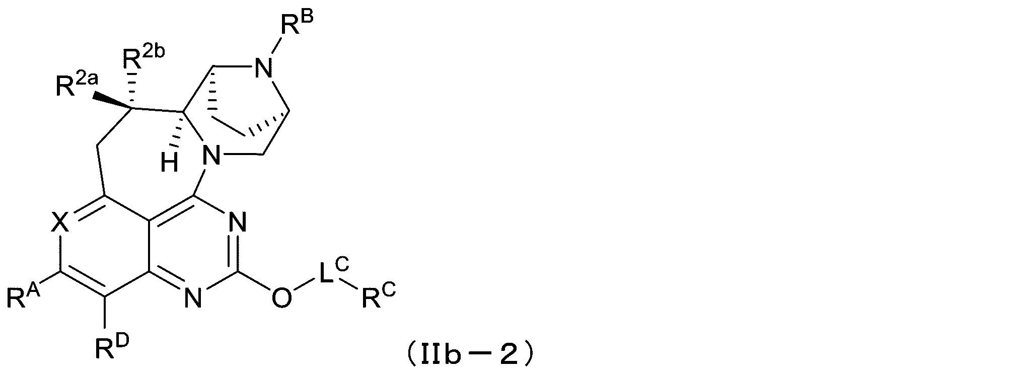 Figure 2025513258000919