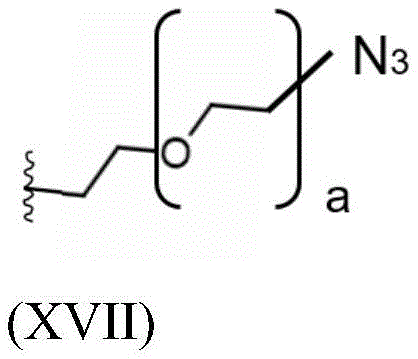 Figure FDA0004086040560000131