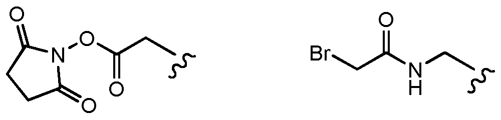 Figure imgf000053_0002