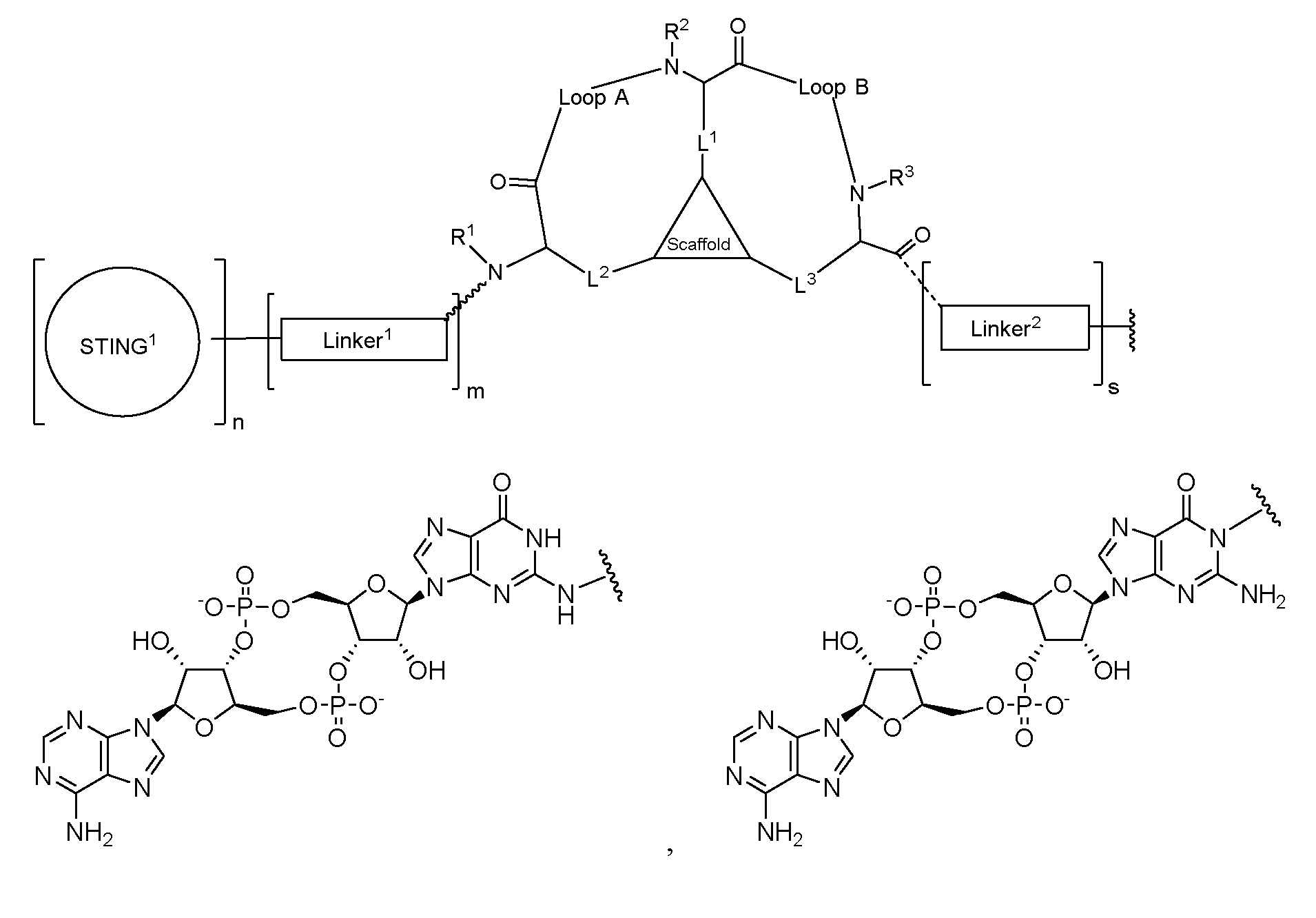 Figure imgf000081_0003