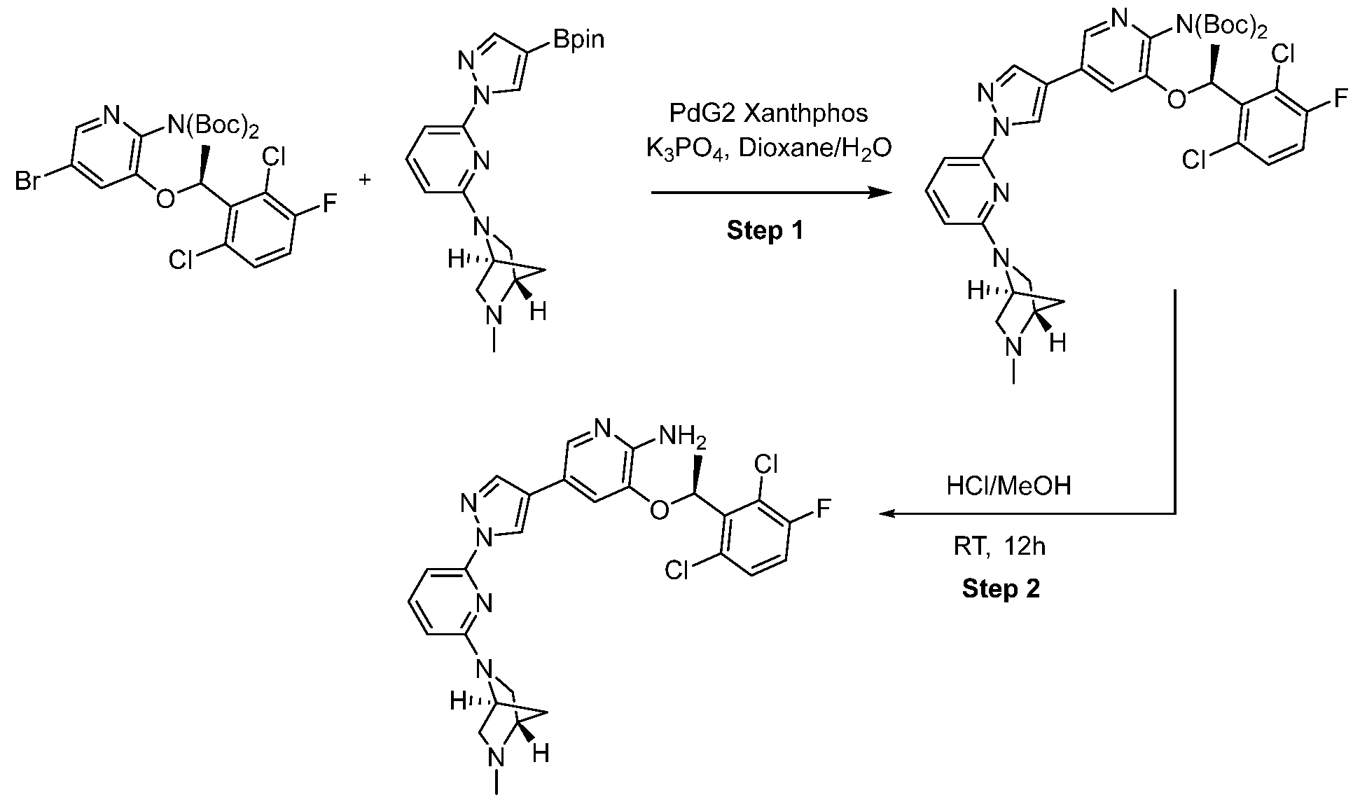 Figure imgf000079_0001