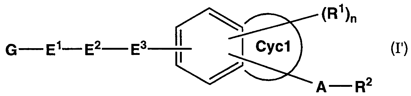 Figure imgf000003_0002