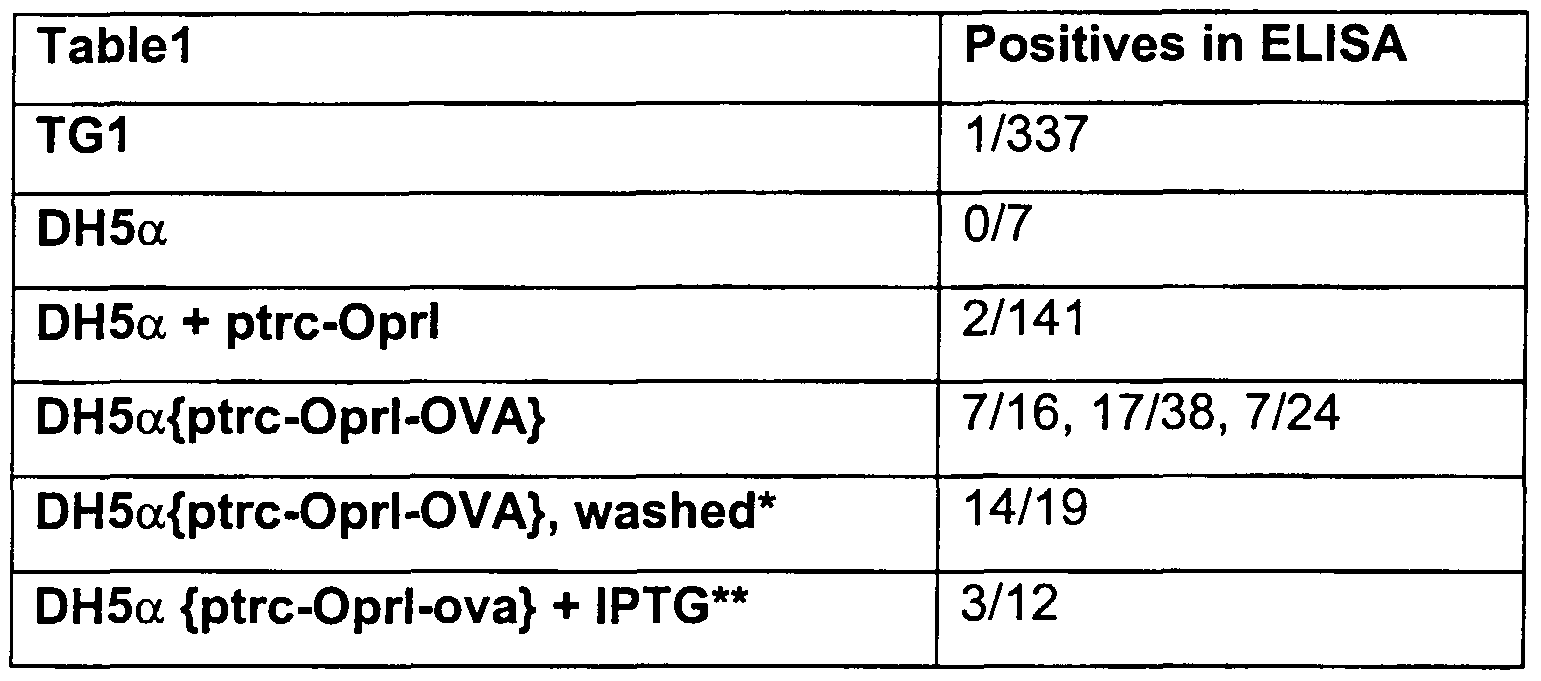 Figure imgf000019_0001