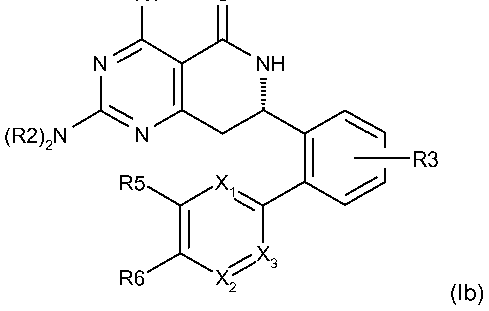 Figure imgf000009_0002