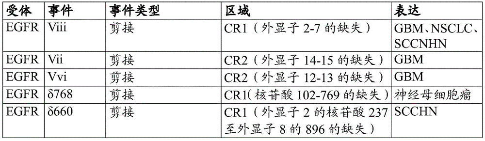 Figure BDA0003080906310001702