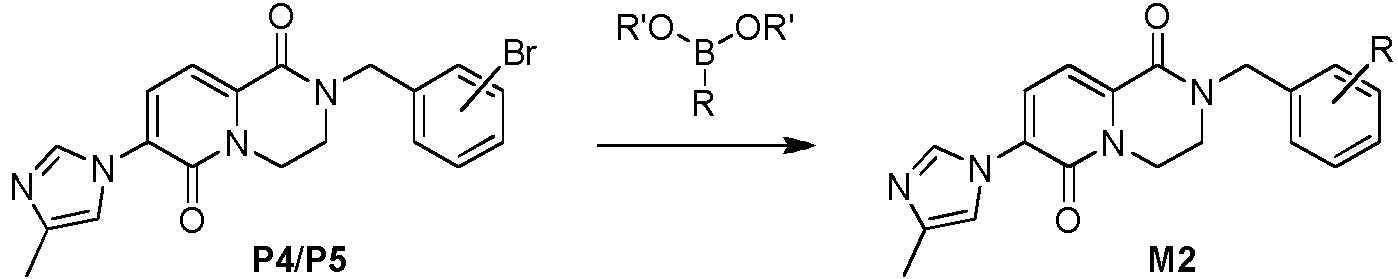 Figure imgf000029_0001