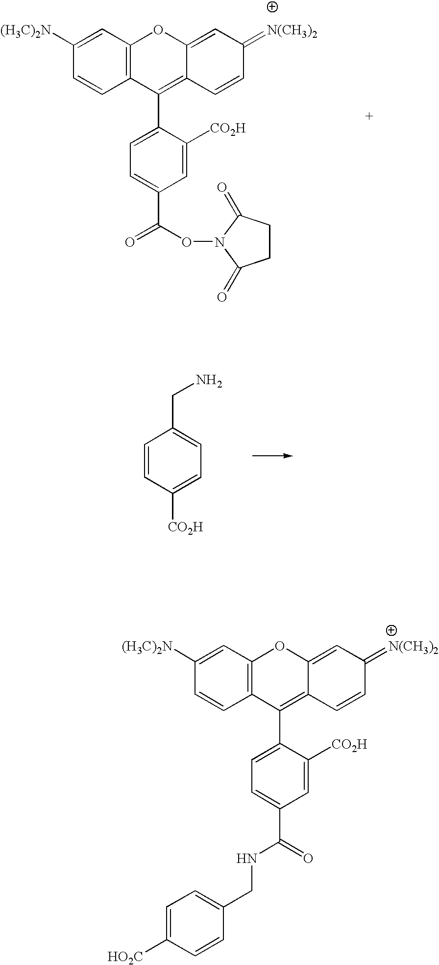 Figure US20070154927A1-20070705-C00107