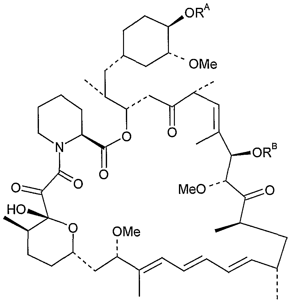 Figure imgf000011_0001