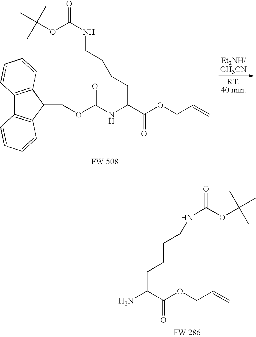 Figure US20090061010A1-20090305-C00014