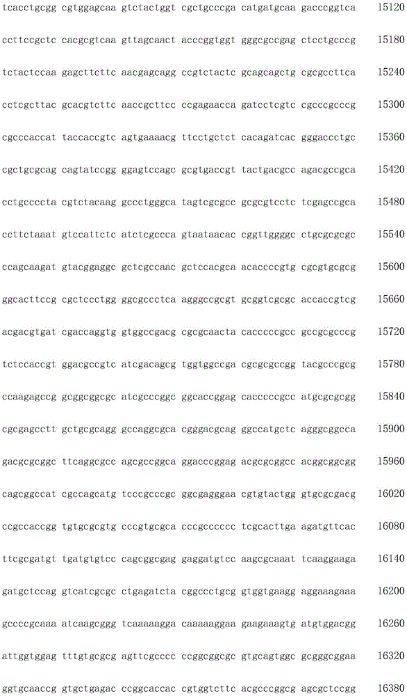 Figure IDA0002872168960000131