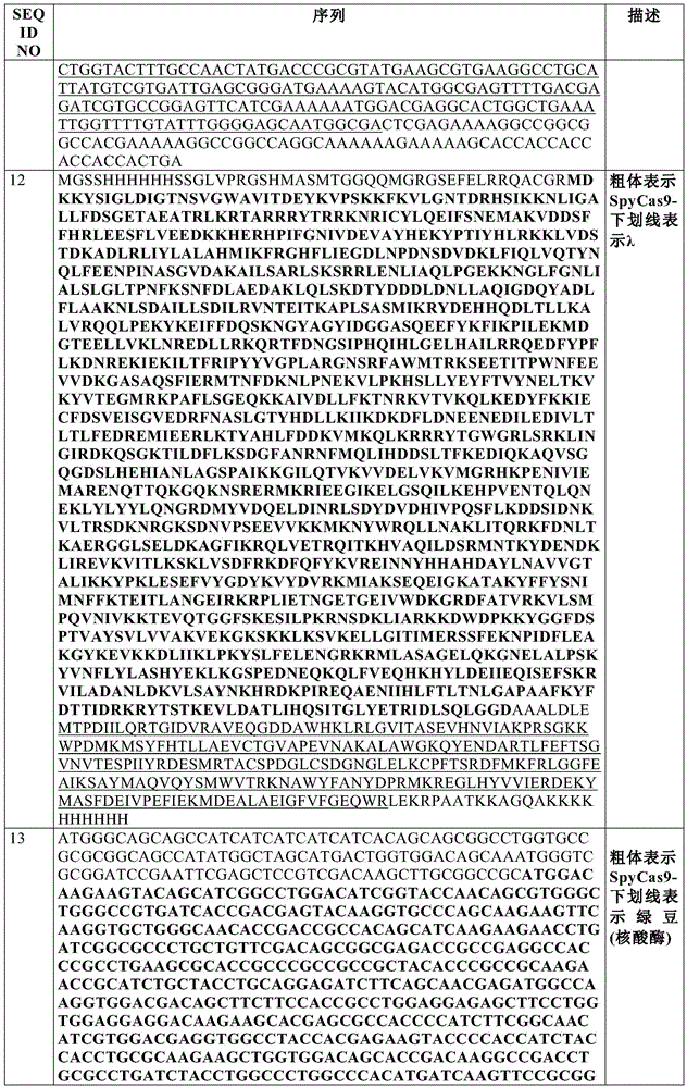 Figure BDA0002550795540000921