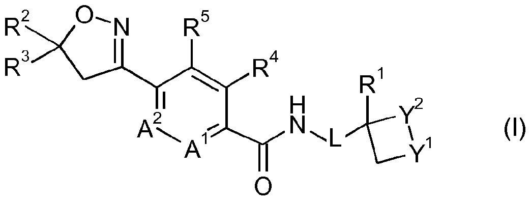 Figure imgf000002_0001