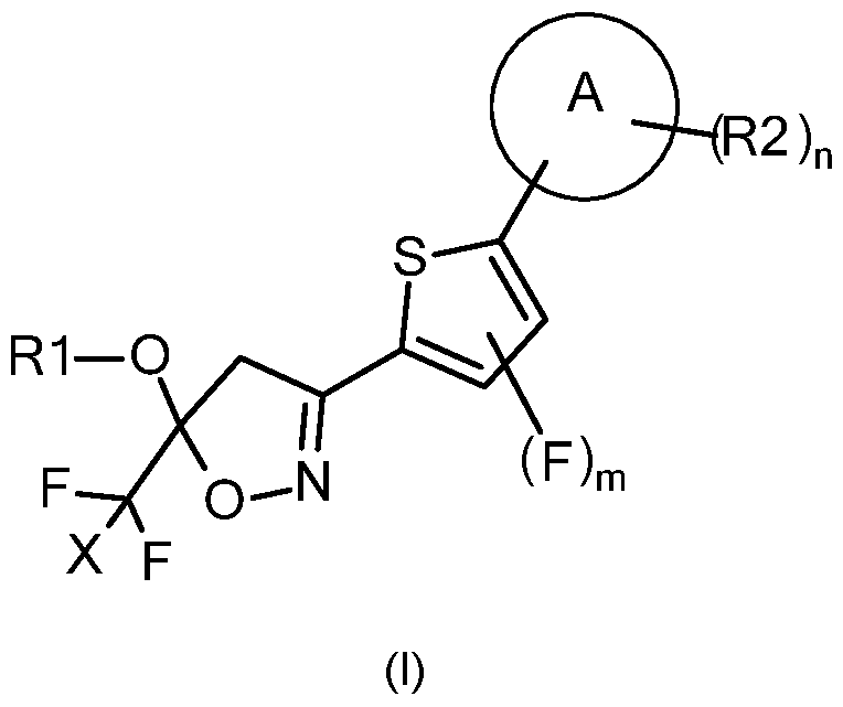 Figure imgf000002_0001