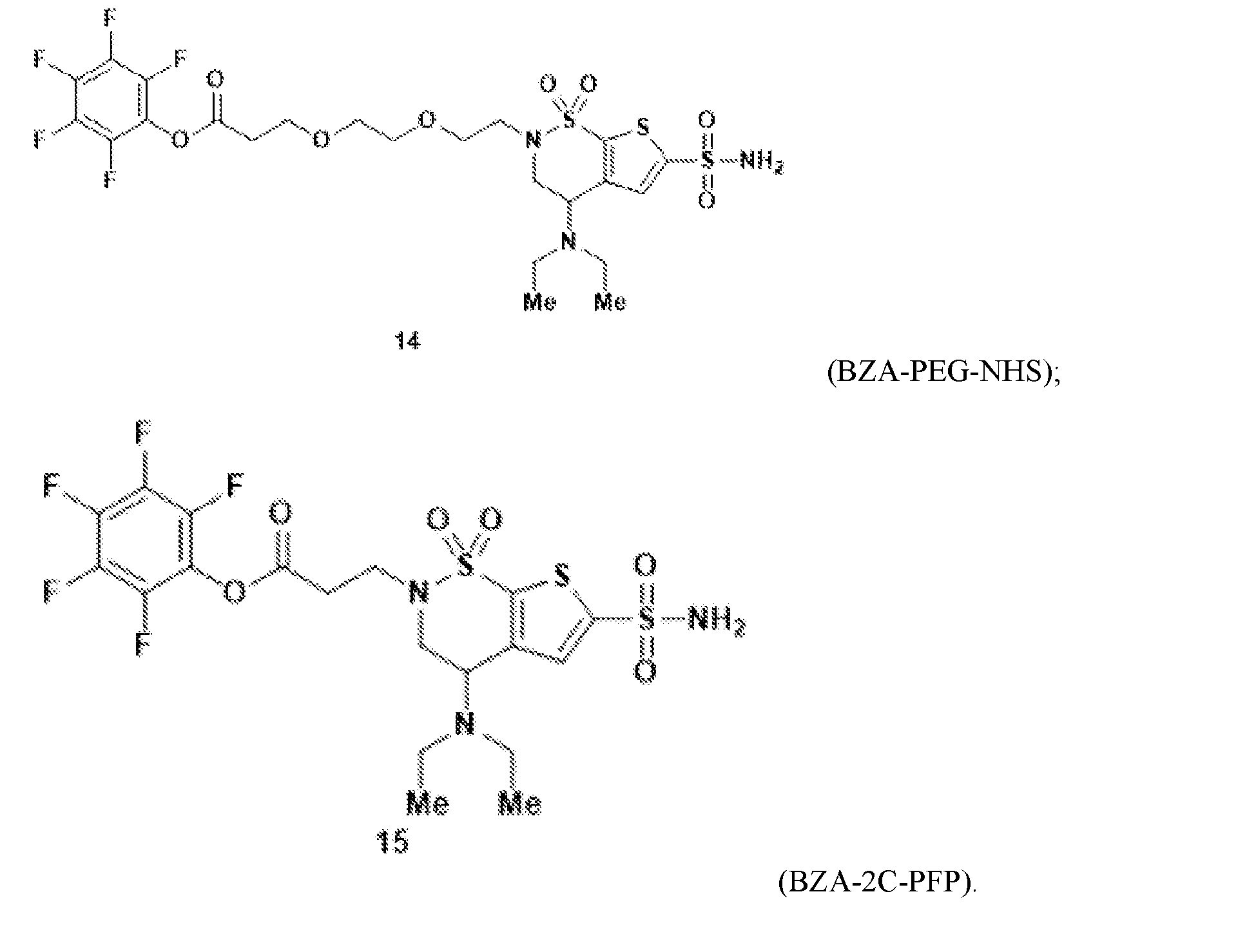 Figure imgf000007_0001