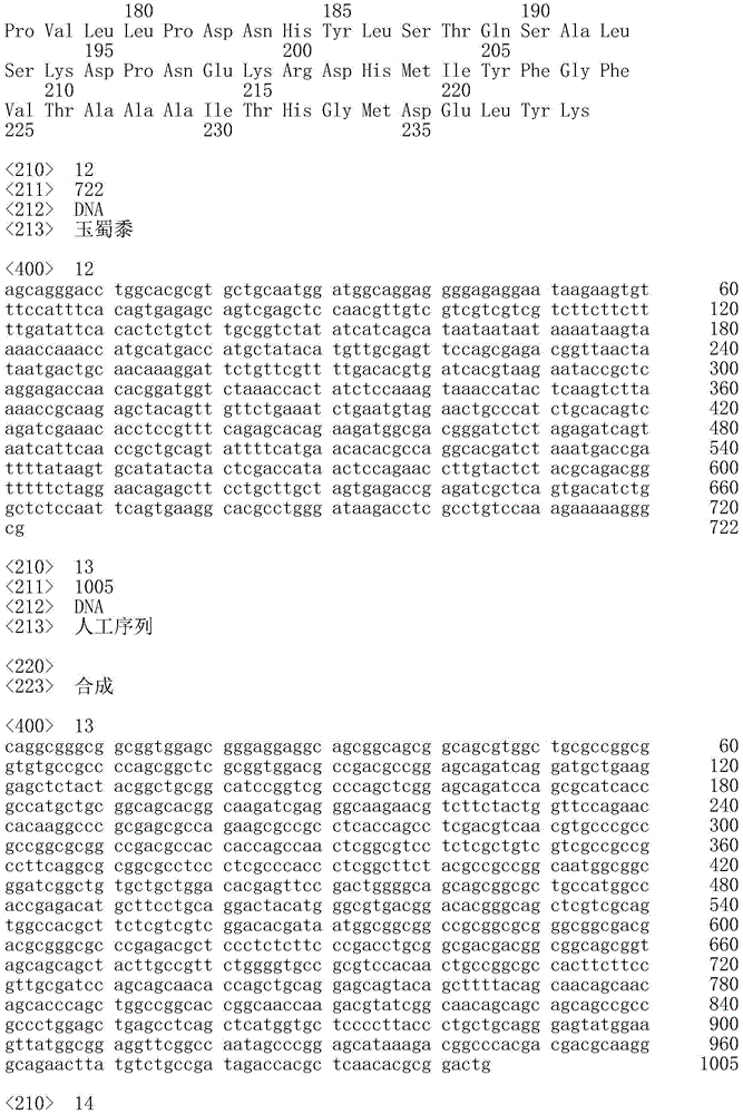 Figure IDA0002532806220000061