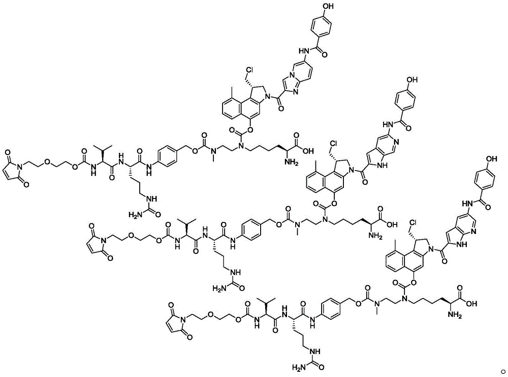 Figure GDA0002483706190002271