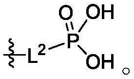 Figure GDA0003779907830000962