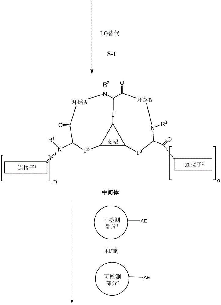 Figure BDA0002385583010000981