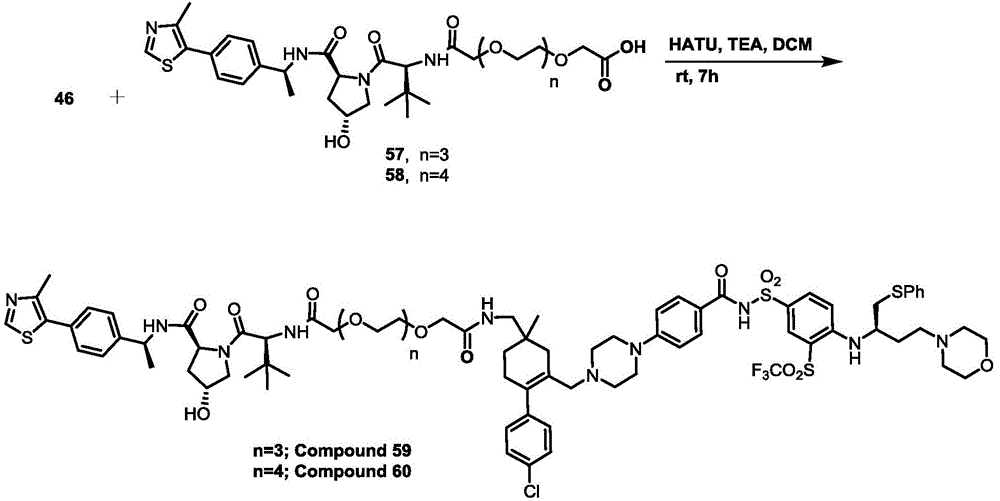 Figure BDA0003293294510000741
