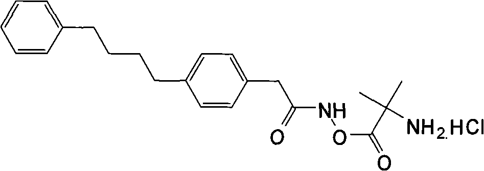 Figure G2007800515415D01301