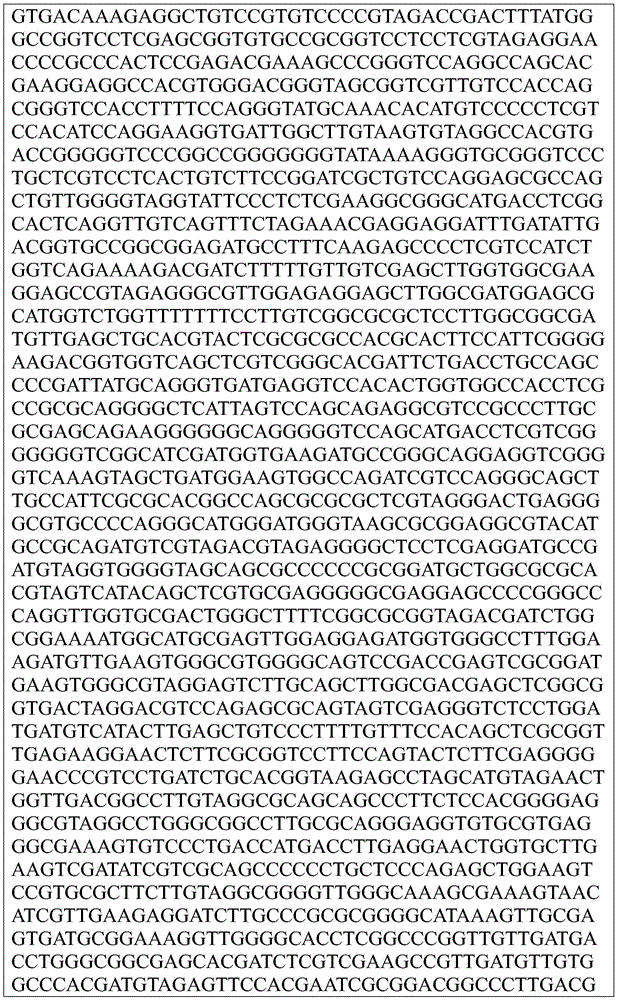 Figure BDA0002872168850002061