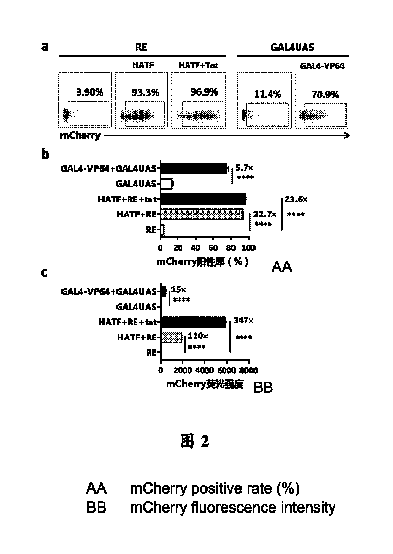 Figure 2024530215000001
