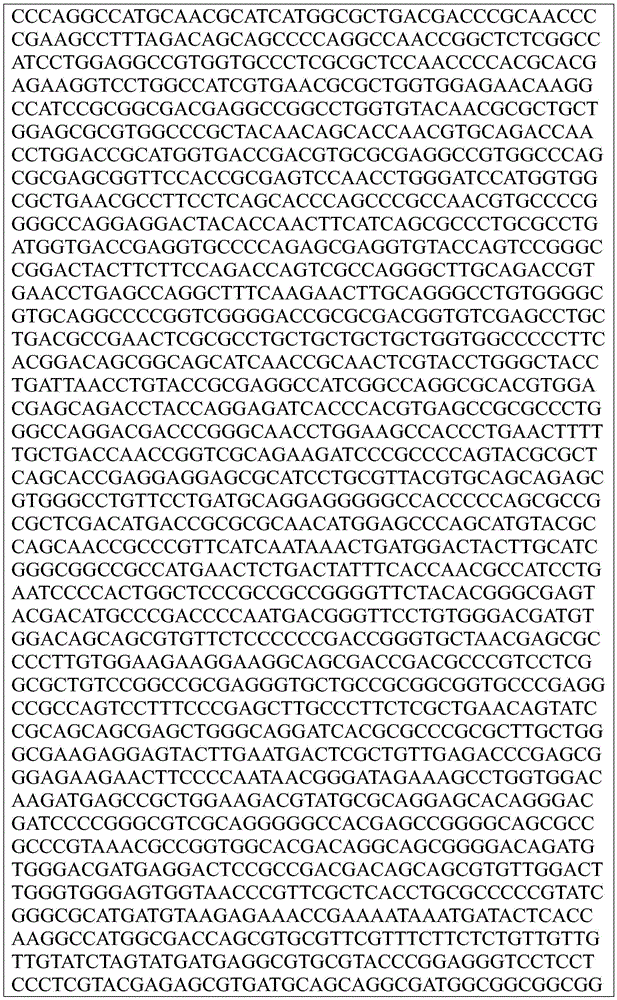 Figure BDA0002872168850001911