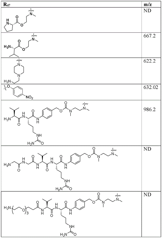 Figure BDA0003135424430001411